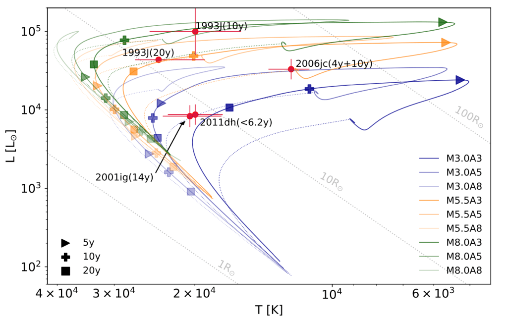 Paper: Surviving Companion of Stripped-Envelope Supernova SN&nbsp;2020oi
